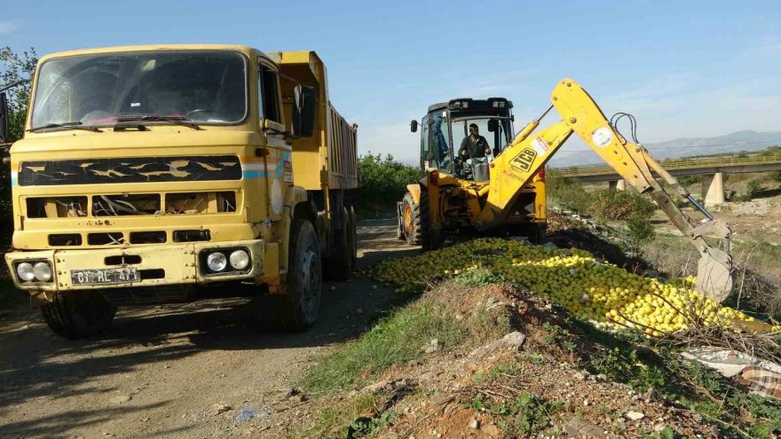 Dere yatağına dökülen tonlarca limon imha edildi