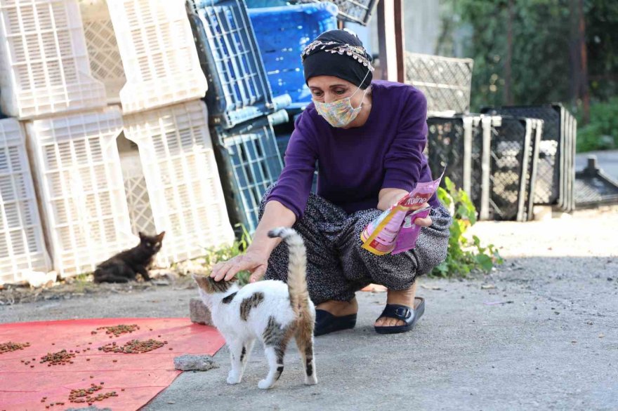 Kanser hastası kadın hayata hayvanlarla tutunuyor