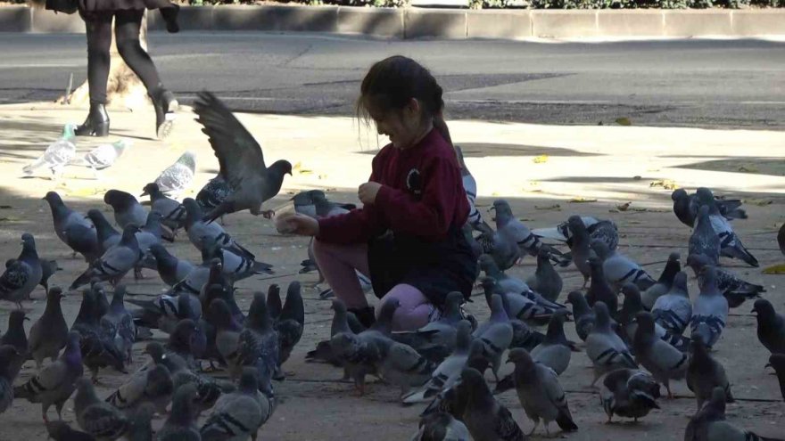 Güneş açtı, parklar doldu