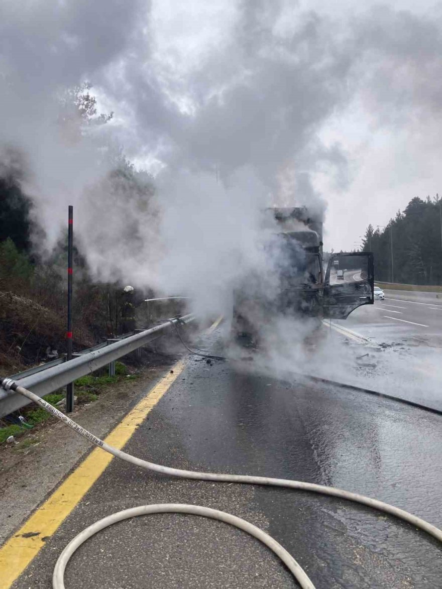 Adana’da otoyolunda mandalina yüklü tırda yangın