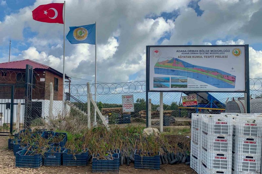 Yeşil deniz kaplumbağalarının yuvası çöl olmayacak