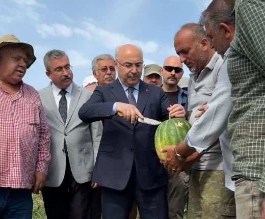 Vali Köşger karpuzu kesip göbeğini yedi, işçilerle birlikte kamyona yükleme yaptı