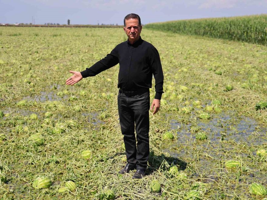Adana’da dolu yağışı tarım arazilerine zarar verdi