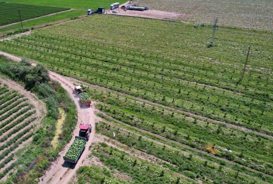 Adana’da karpuz fiyatları 7 liraya düştü