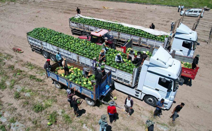 Adana’da karpuz fiyatları 7 liraya düştü