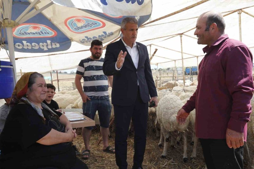 Çukurova’da kurban satış alanları denetleniyor