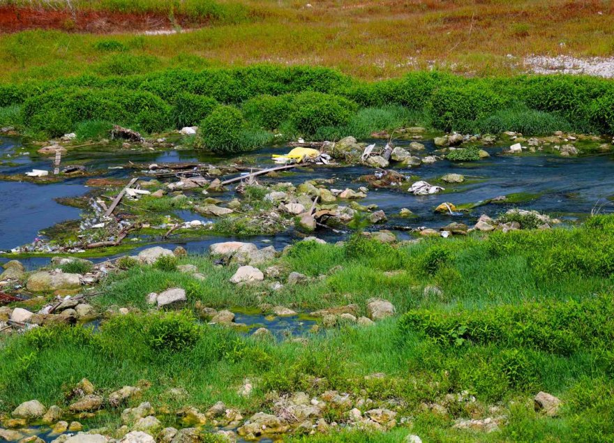 Körpü çalışması nedeniyle Seyhan Nehri’ni kaplayan yosunlar insan boyunu geçti, kötü koku kenti kapladı