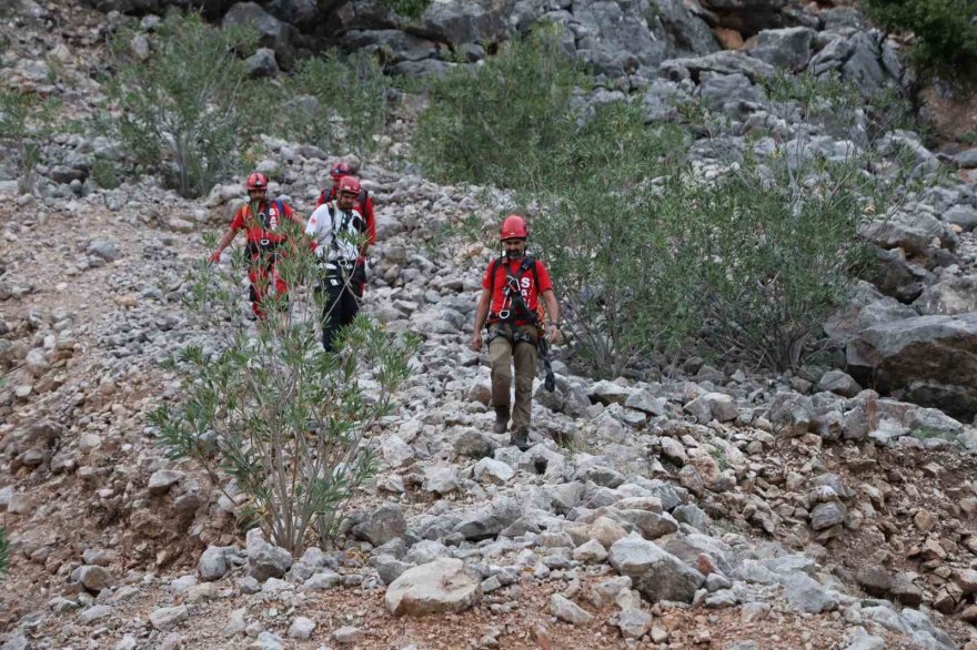 Keçilere kurtarma operasyonu düzenlendi, gerçek başka çıktı