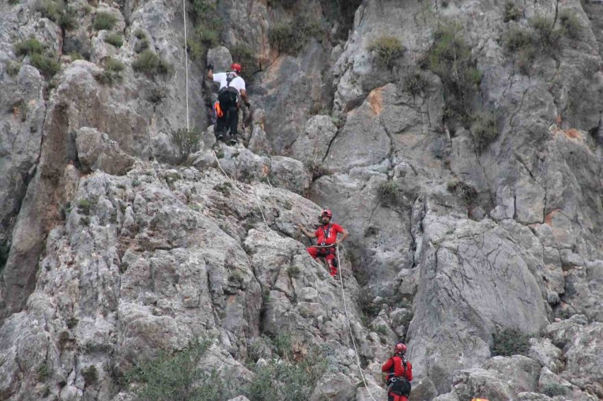 Keçilere kurtarma operasyonu düzenlendi, gerçek başka çıktı